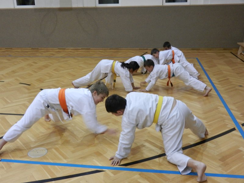 Dojo 2012-22